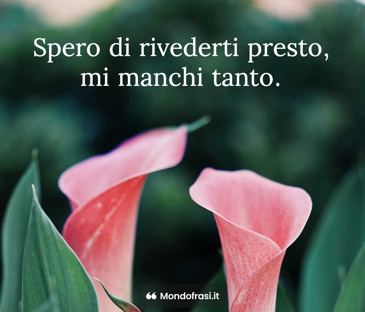 Frasi Per Immaginette Dei Defunti