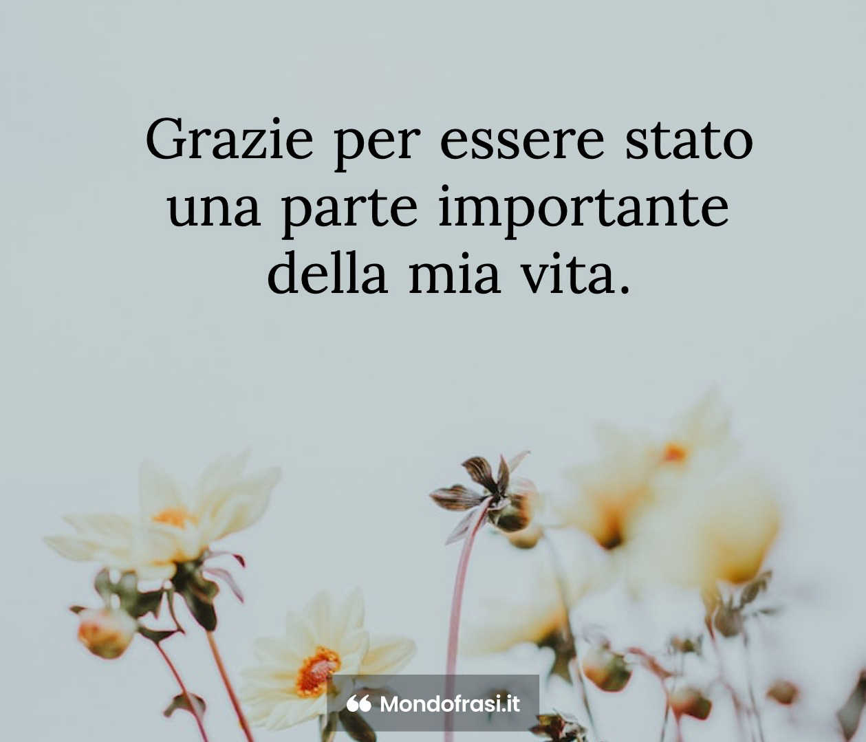 Frasi Per Immaginette Dei Defunti Le migliori 20 frasi per immaginette, ricordini o pagelline dei defunti